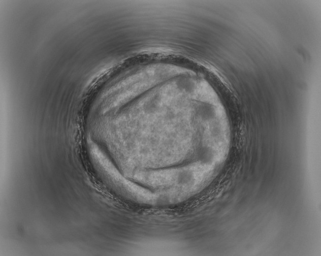 X0000112100967200909011121