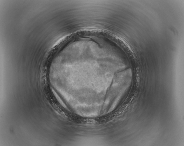 X0000112100968200909011121