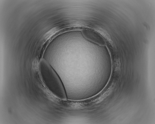 X0000112100969200909011121