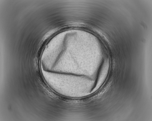X0000112100970200909011121
