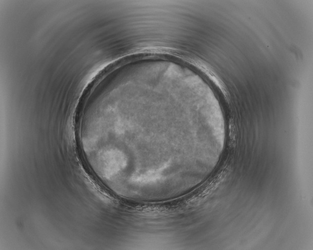 X0000112100972200909011121