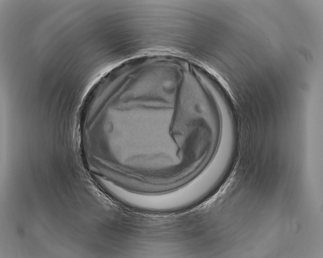 X0000112100973200909011121