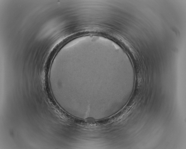X0000112100975200909011121