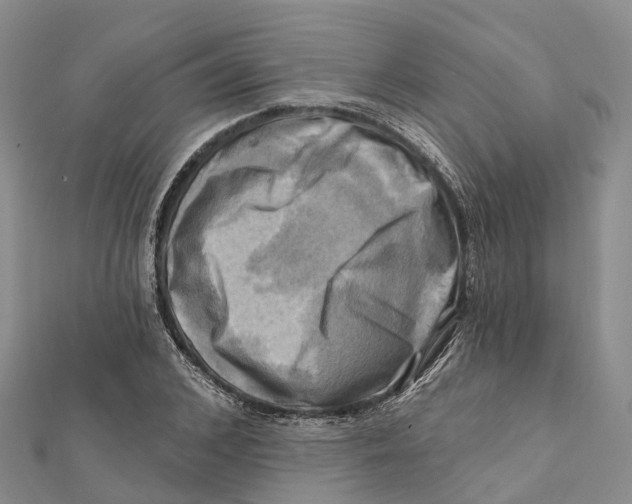 X0000112100976200909011121