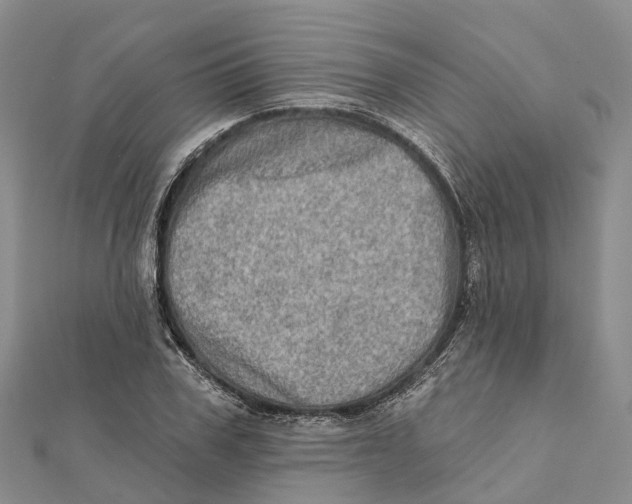 X0000112100979200909011121
