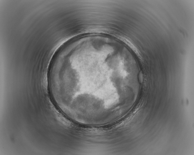 X0000112100980200909011121