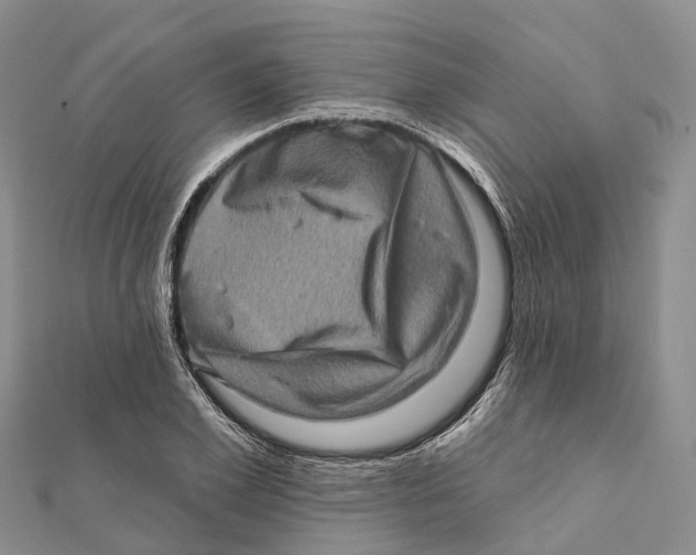 X0000112100981200909011121