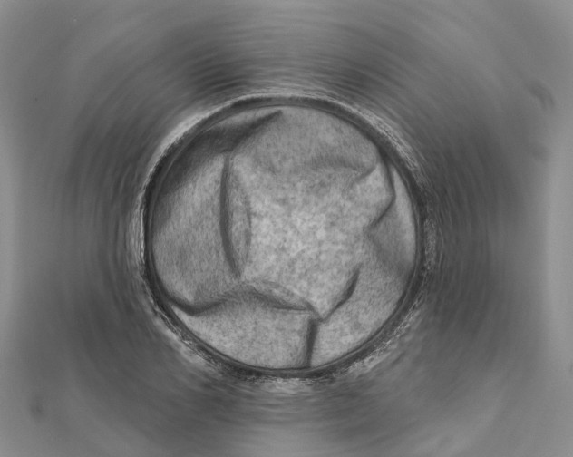 X0000112100982200909011121