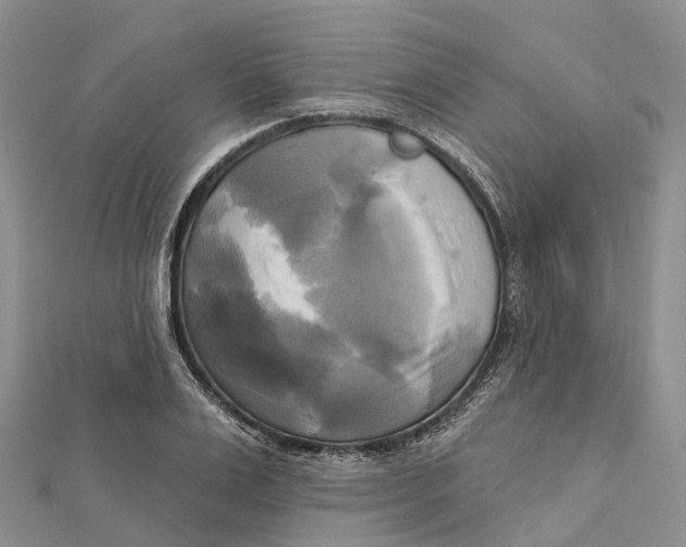 X0000112100983200909011121
