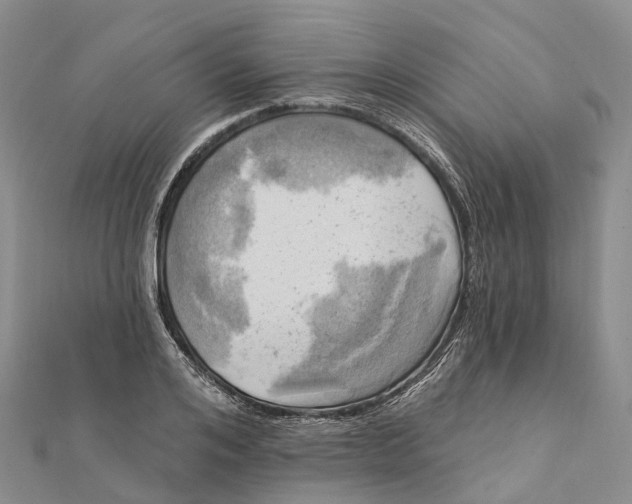 X0000112100984200909011121