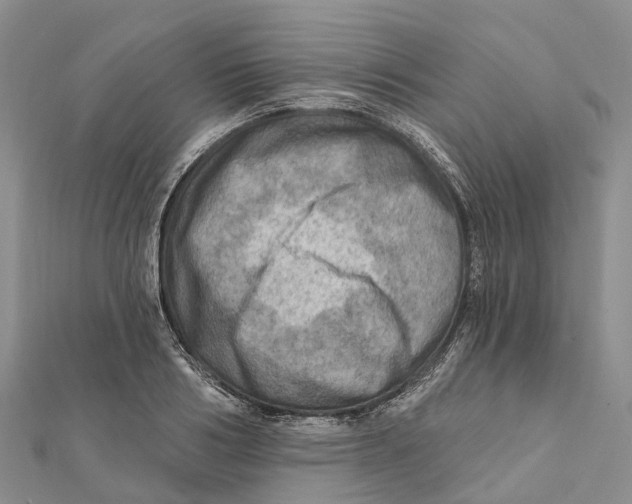 X0000112100986200909011121