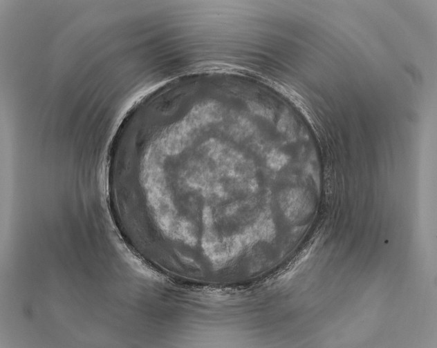 X0000112100987200909011121