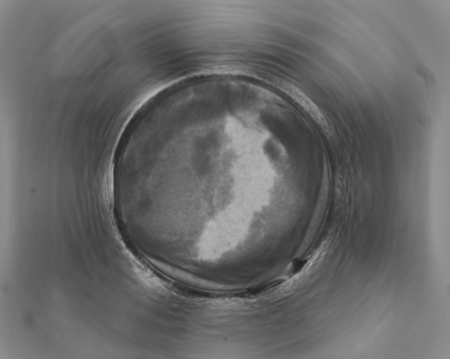 X0000112100988200909011121