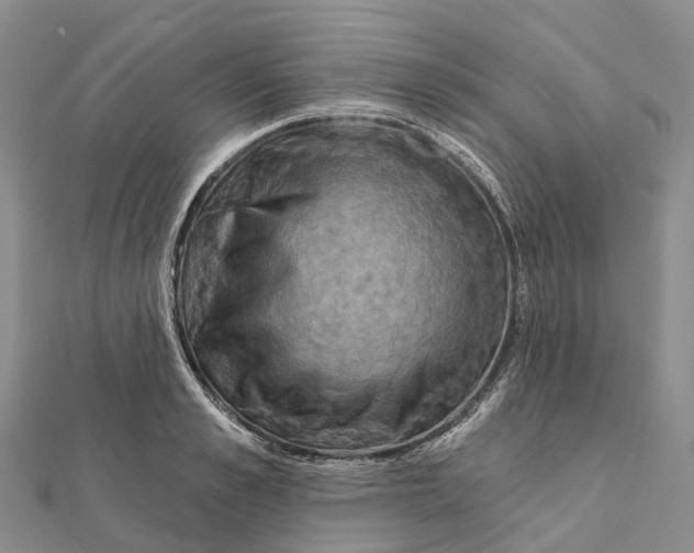 X0000112100989200909011121