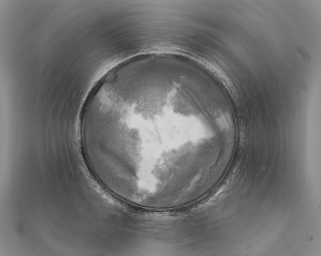 X0000112100990200909011121