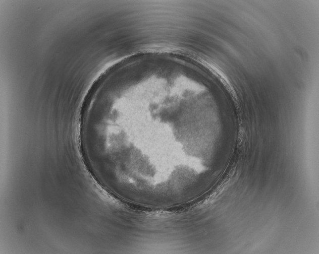 X0000112100992200909011121