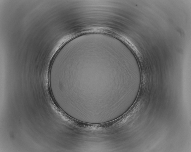 X0000112100994200909011121