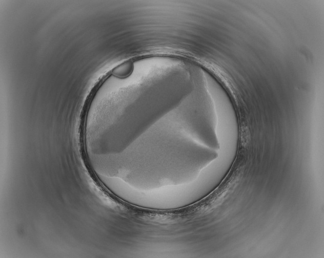 X0000112100995200909011121