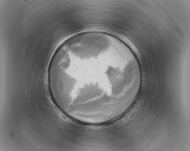 X0000112100996200909011121