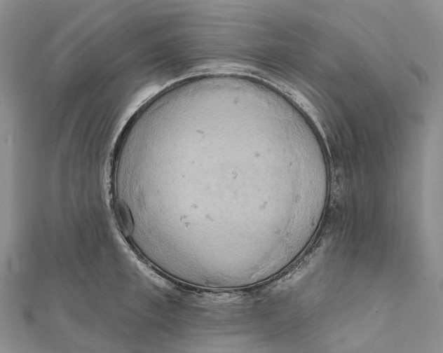 X0000112100997200909011121
