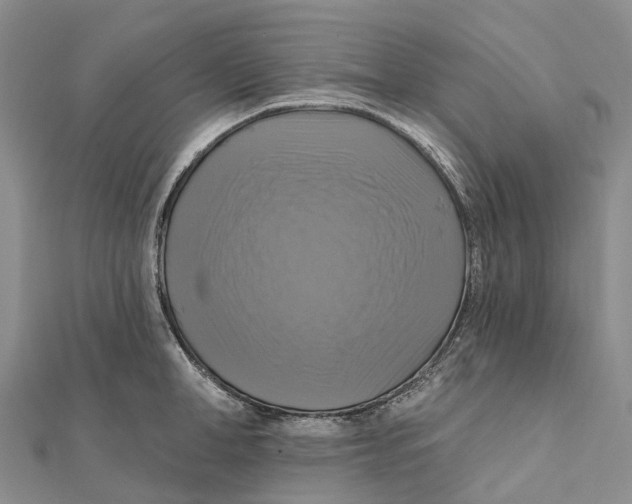 X0000112100998200909011121