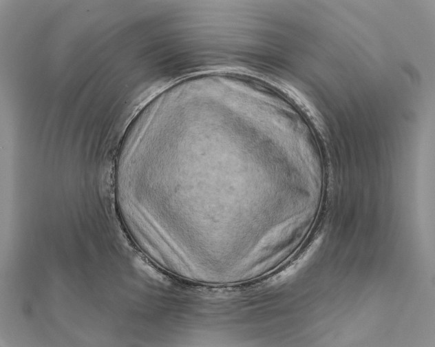 X0000112101001200909011121