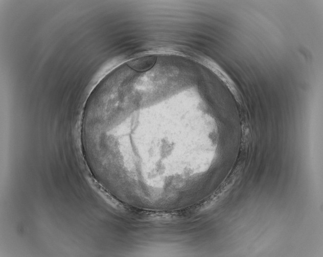 X0000112101002200909011121