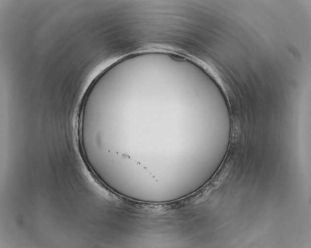 X0000112101003200909011121