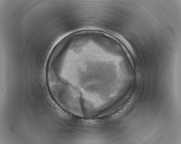 X0000112101004200909011121