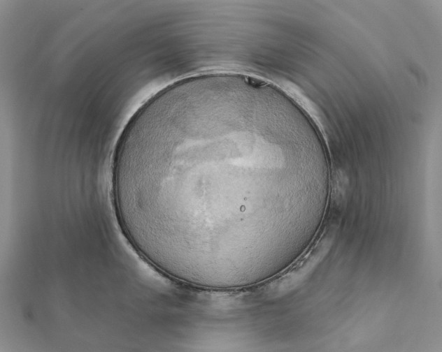 X0000112101005200909011121