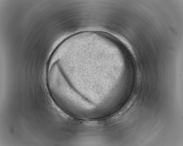 X0000112101006200909011121