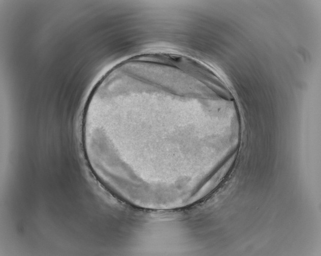 X0000112101008200909011121
