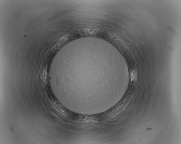 X0000112101011200909011120
