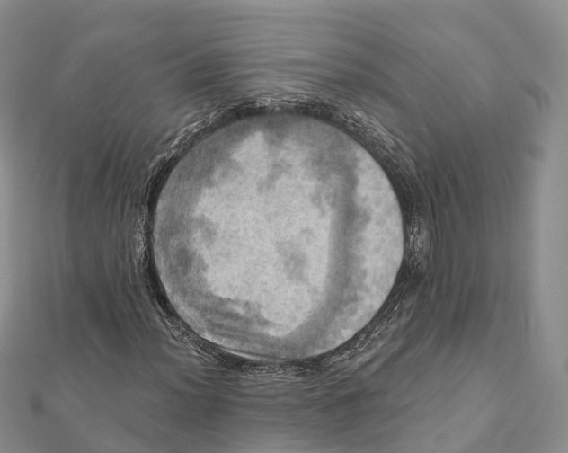 X0000112101012200909011120