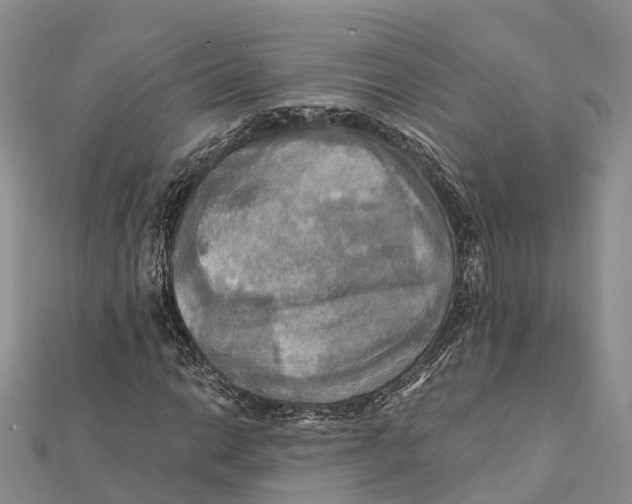 X0000112101014200909011120