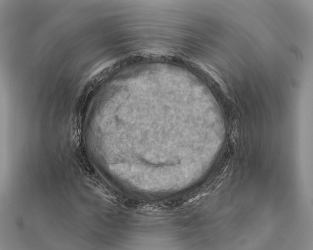 X0000112101015200909011120