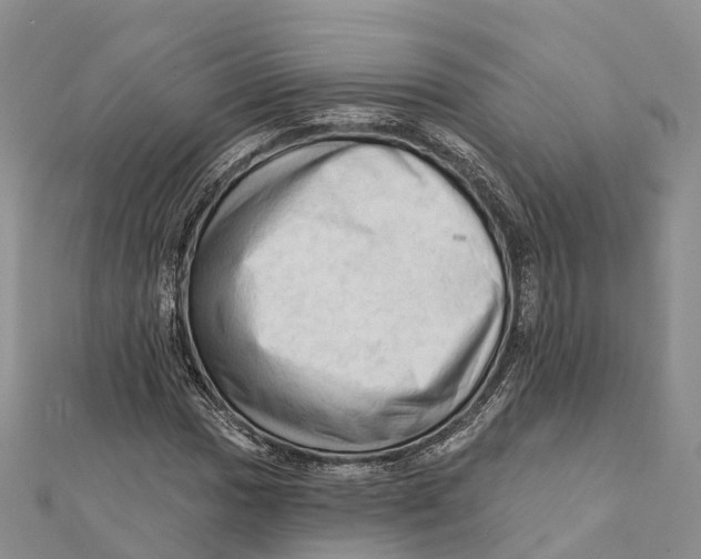X0000112101017200909011120