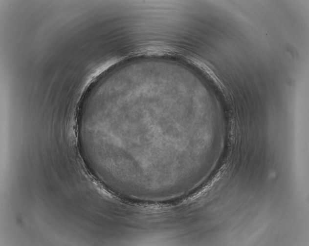X0000112101018200909011120