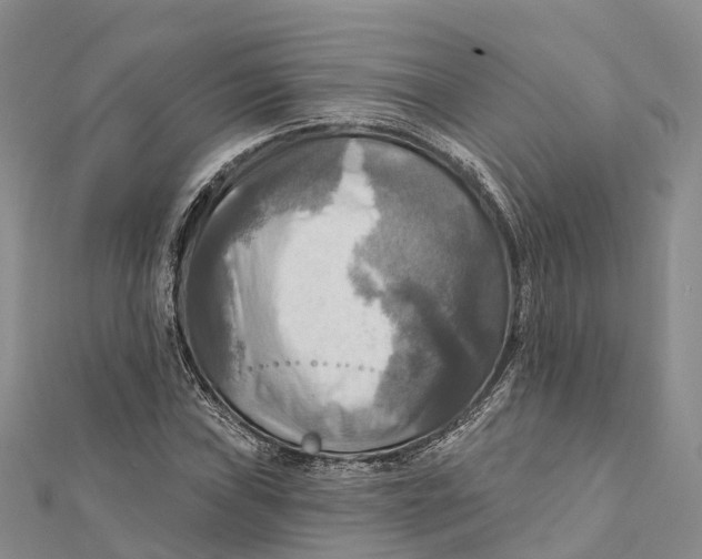 X0000112101019200909011120