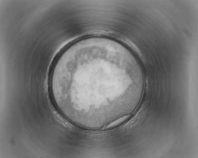 X0000112101020200909011120