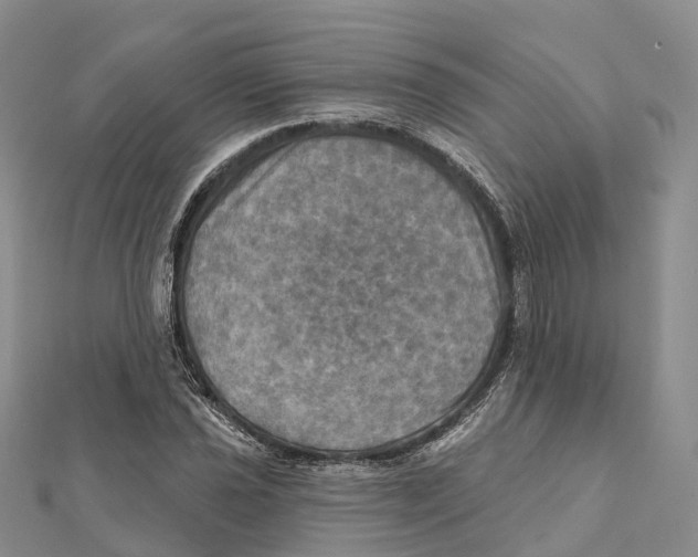 X0000112101021200909011120