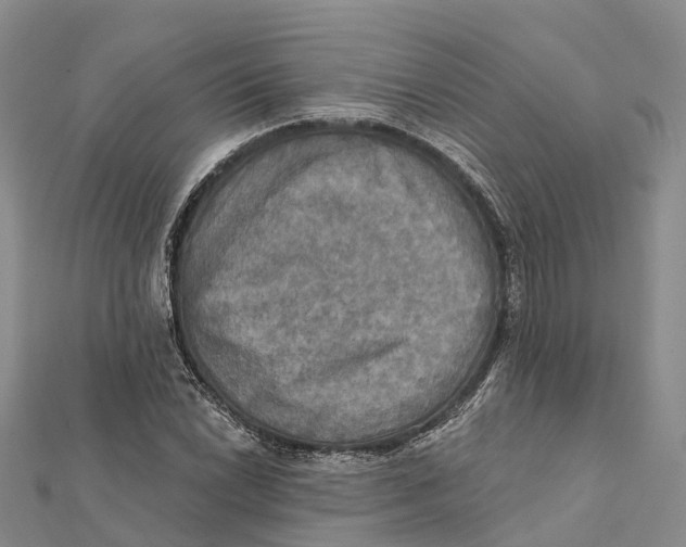 X0000112101022200909011120