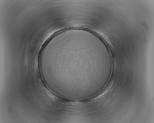 X0000112101023200909011120