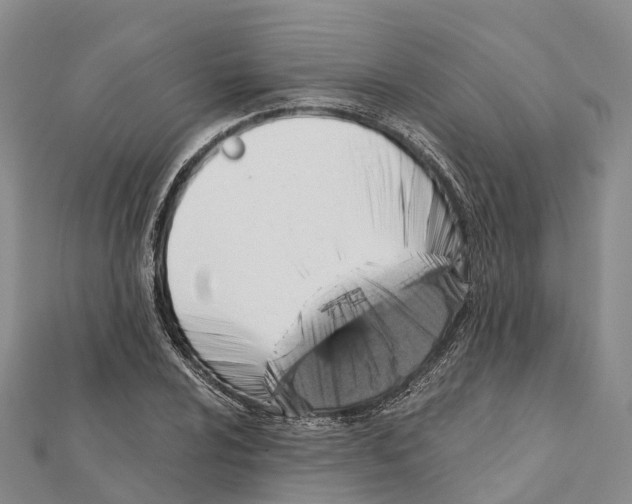 X0000112101024200909011120