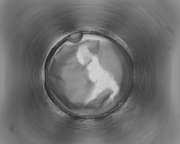 X0000112101028200909011120