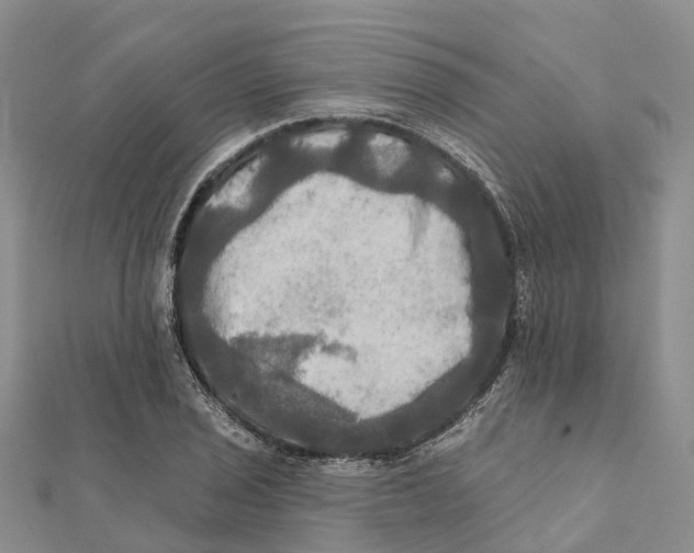 X0000112101029200909011120