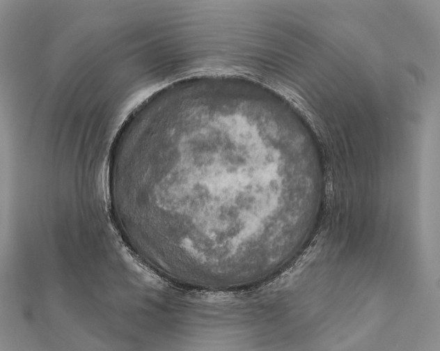 X0000112101030200909011120