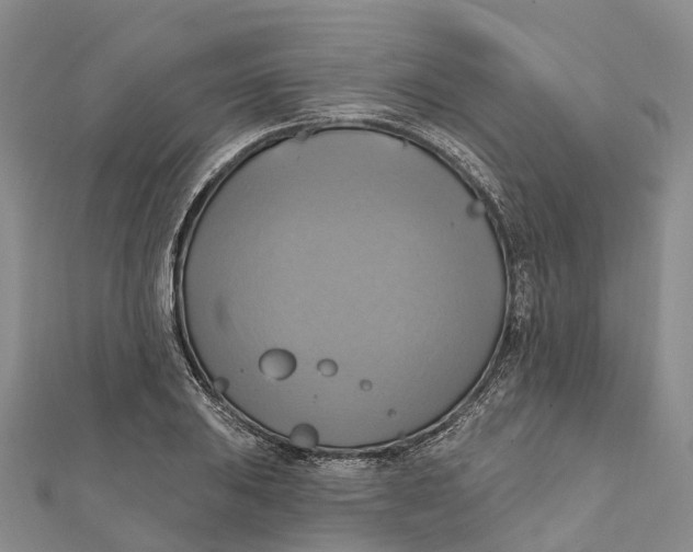 X0000112101031200909011120