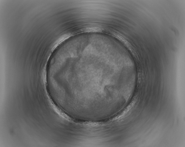 X0000112101034200909011120