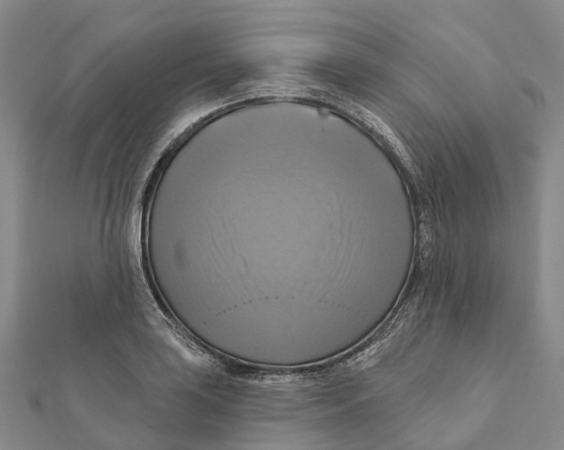 X0000112101035200909011120